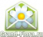 Логотип компании Доставка цветов Гранд Флора (ф-л г.Соликамск)